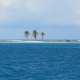 26- Cocotiers sur le recif 